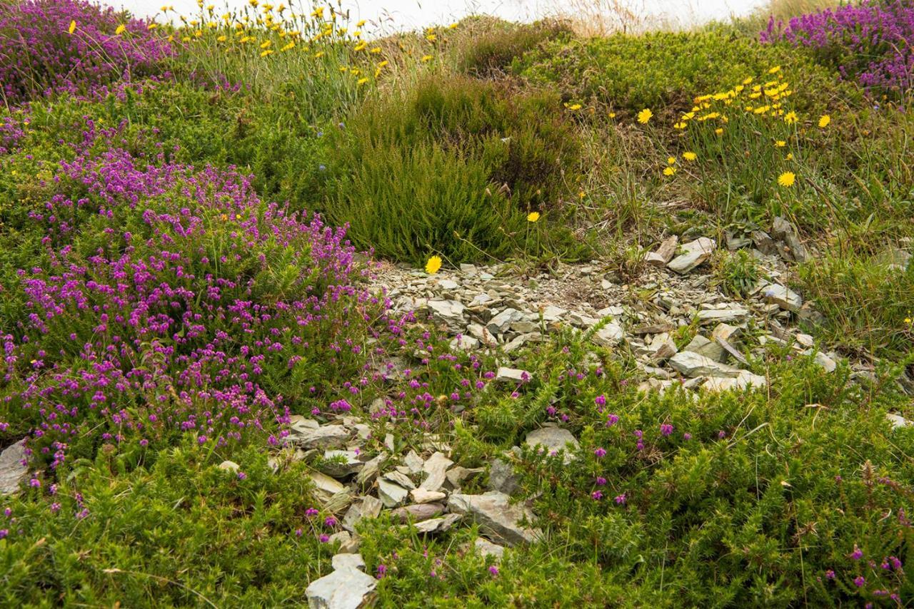 Ferienwohnung Ring Of Kerry - Einmaliger Blick Auf Skelligs Clynacartan Exterior foto